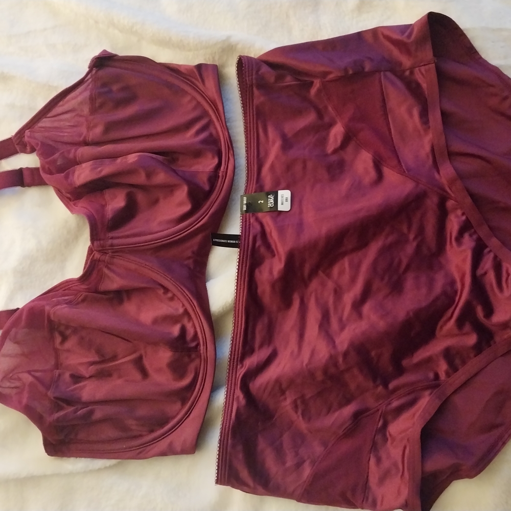 Full Coverage Burgundy Bra and Brief Set